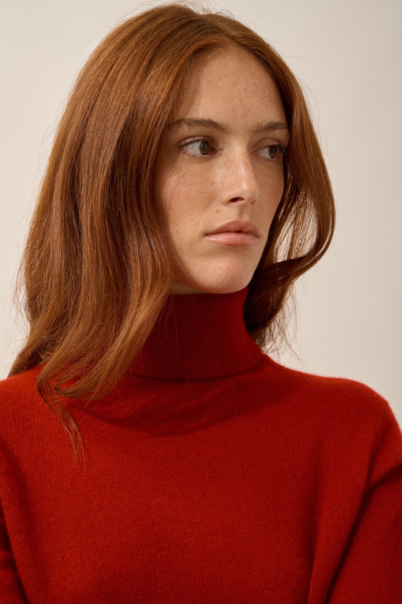 ava pull col roulé rubis