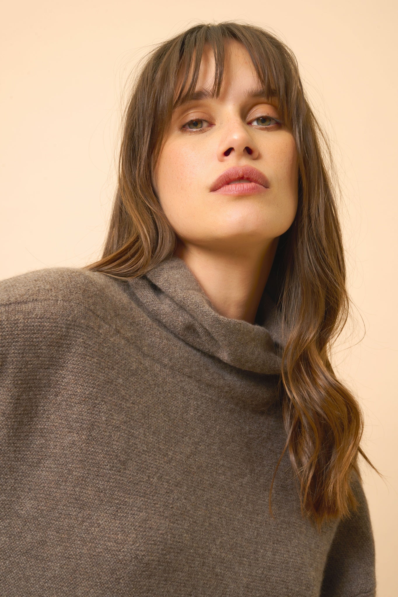 BLANTYRE taupe mottled turtleneck sweater