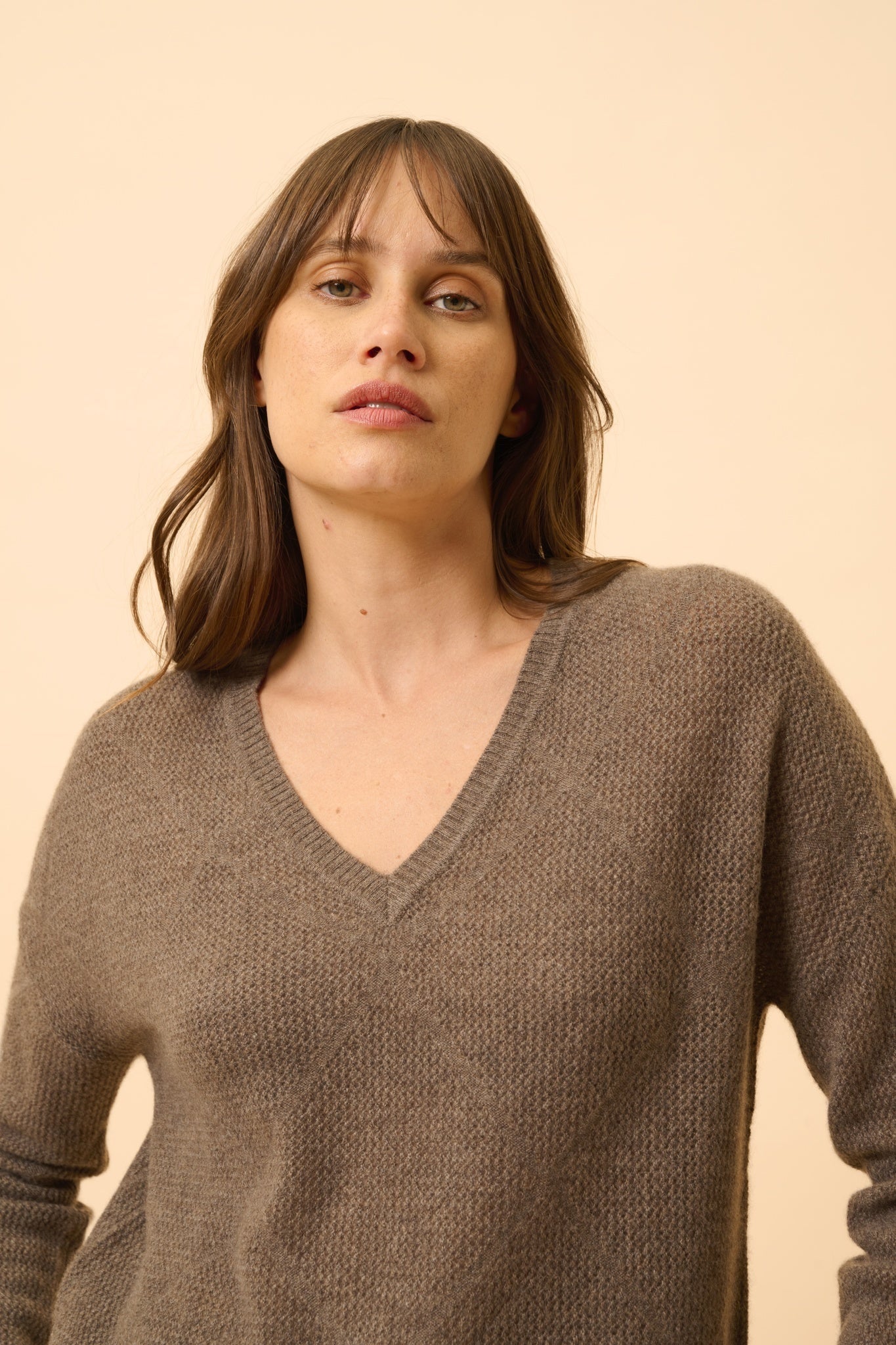 CAPUCINE taupe mottled v-neck sweater