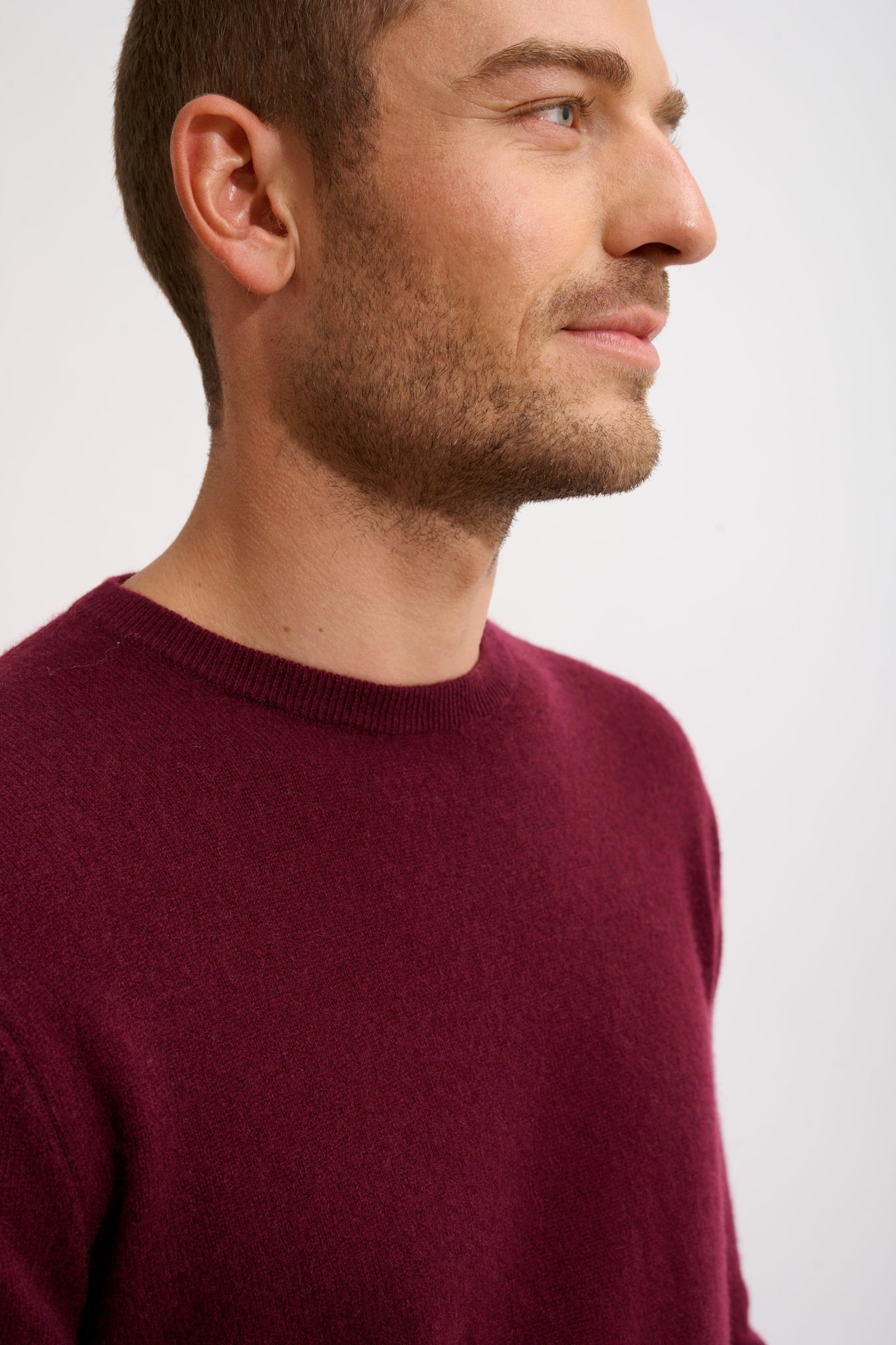 HOWARD round neck sweater in blackberry
