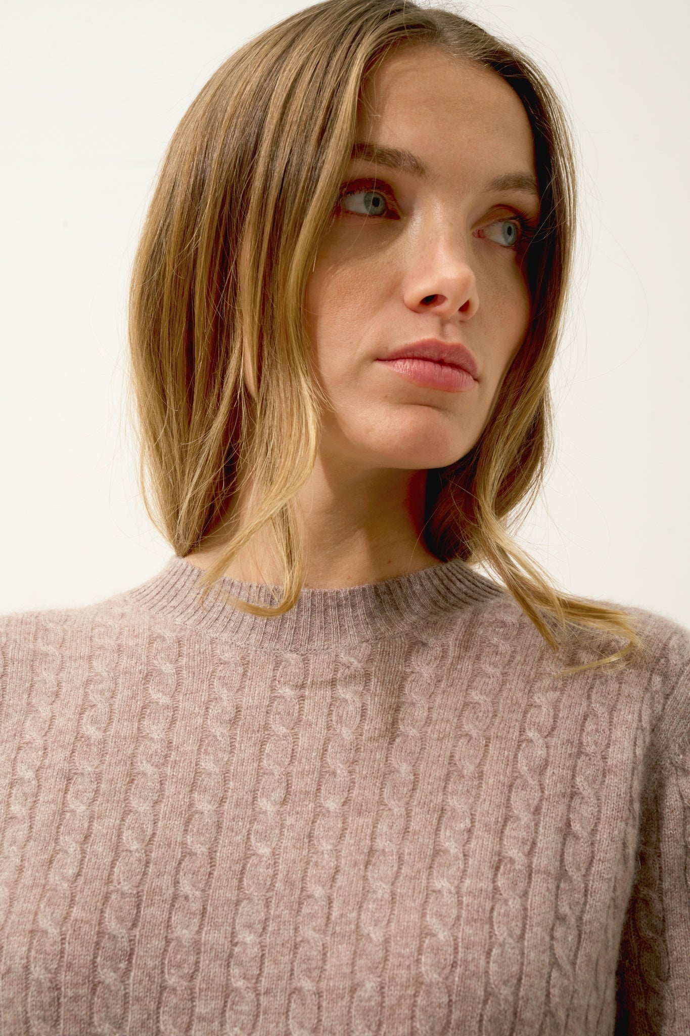 JADE pull col rond caribou chiné