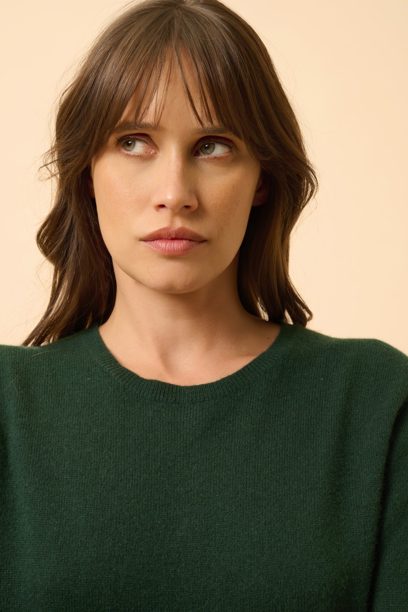 JANICE pull col rond cyprès