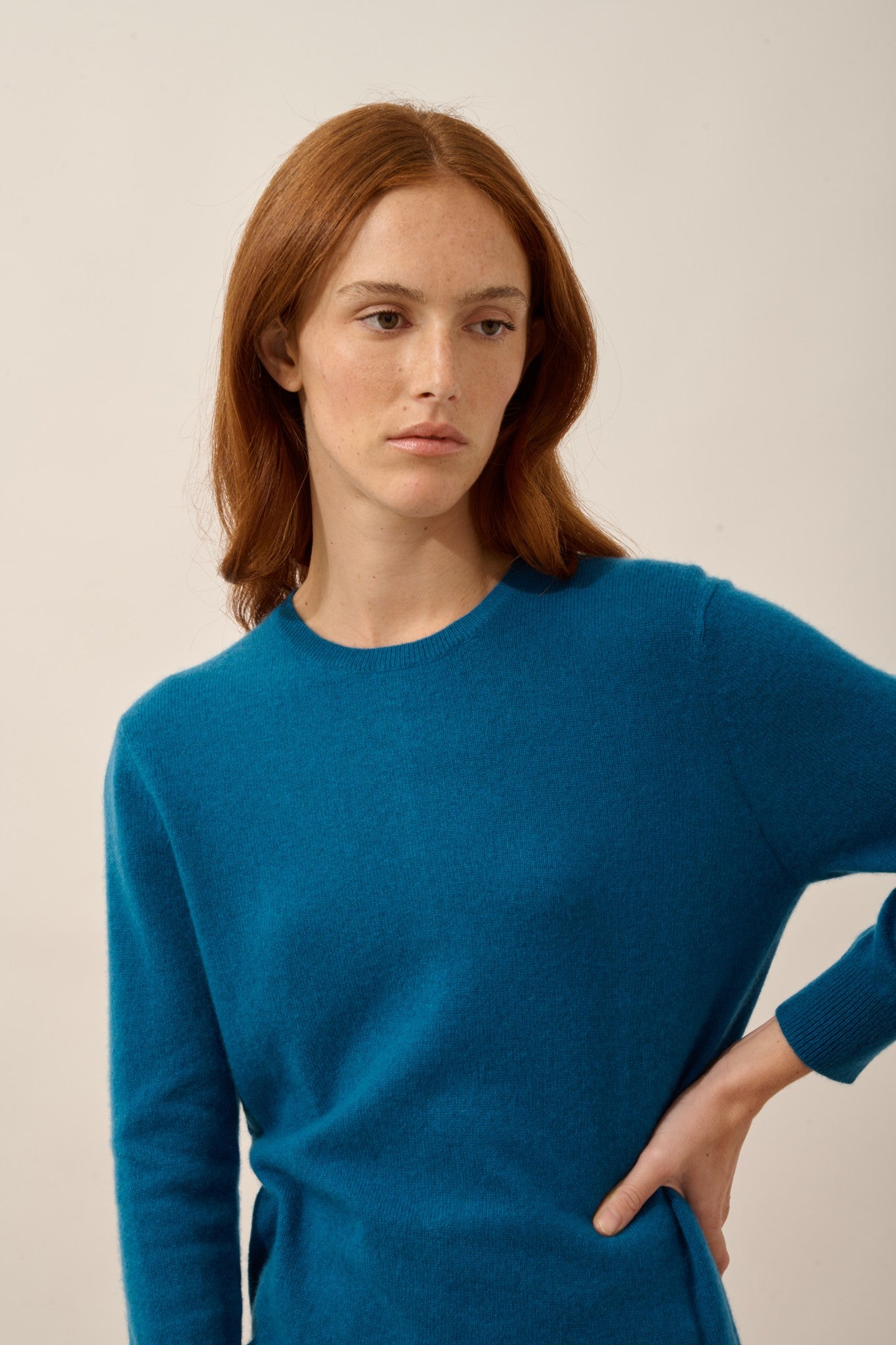 janice pull col rond paon