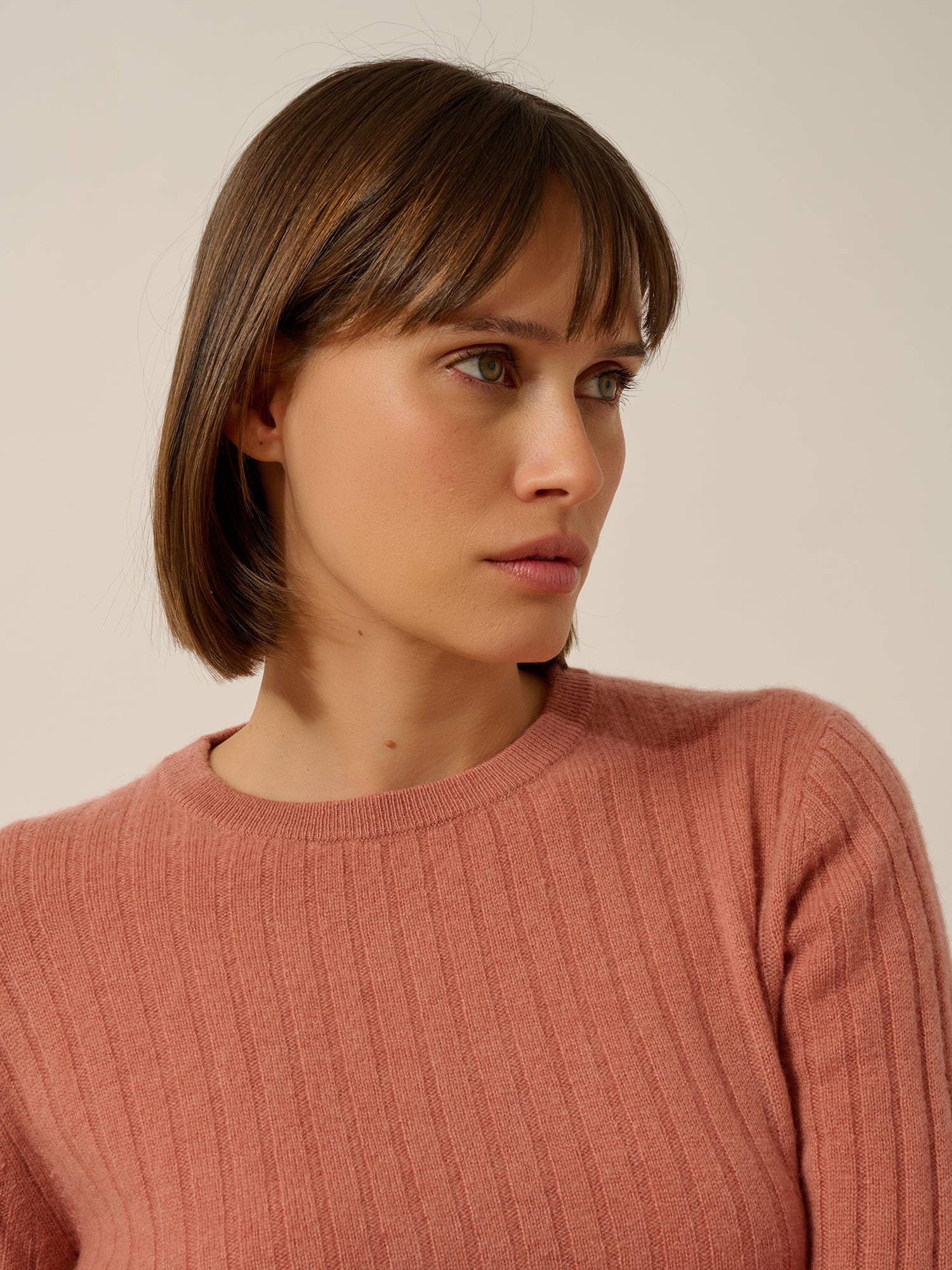 AVANA pull col rond dahlia