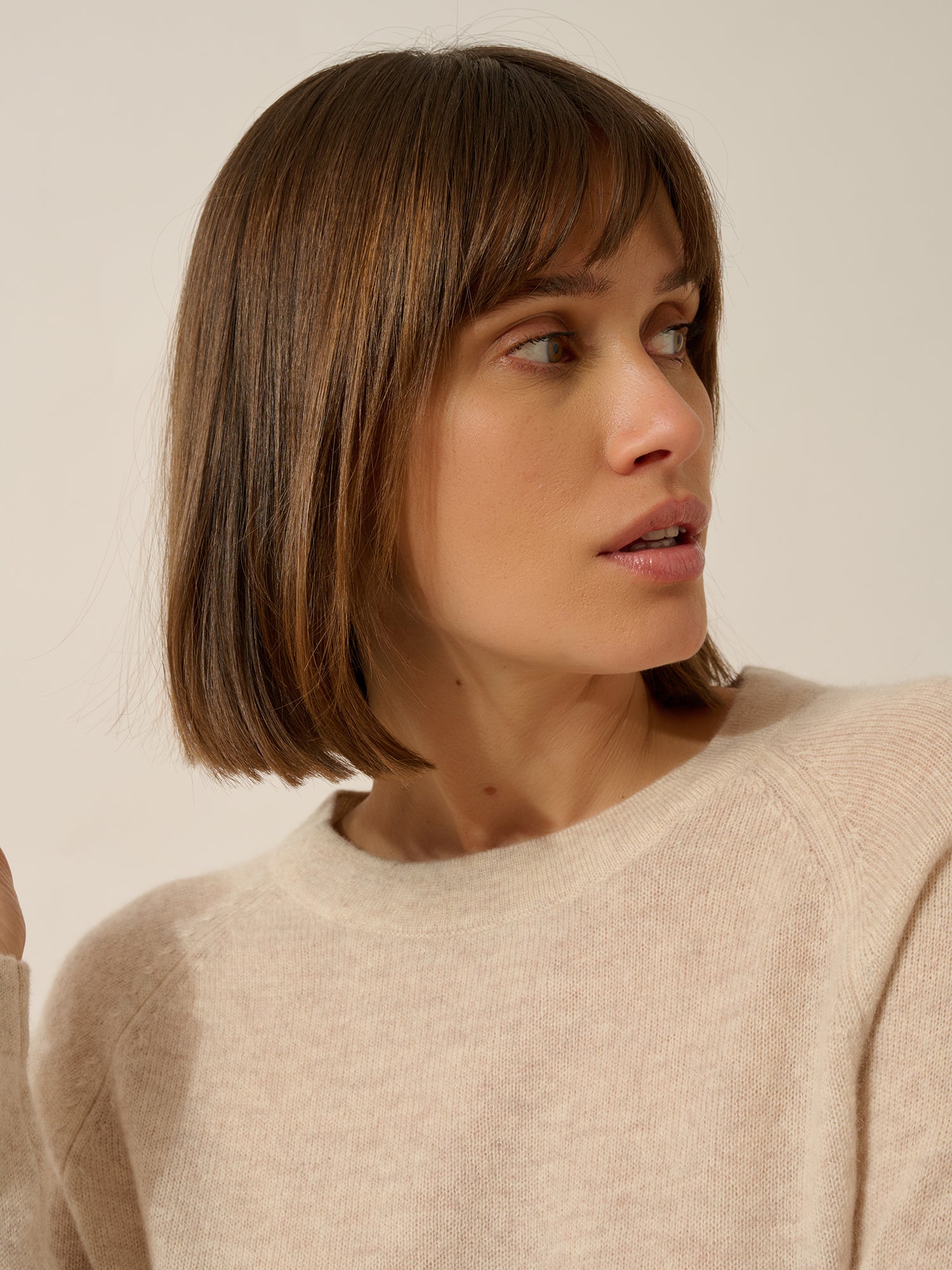 JANE pull col rond beige chiné