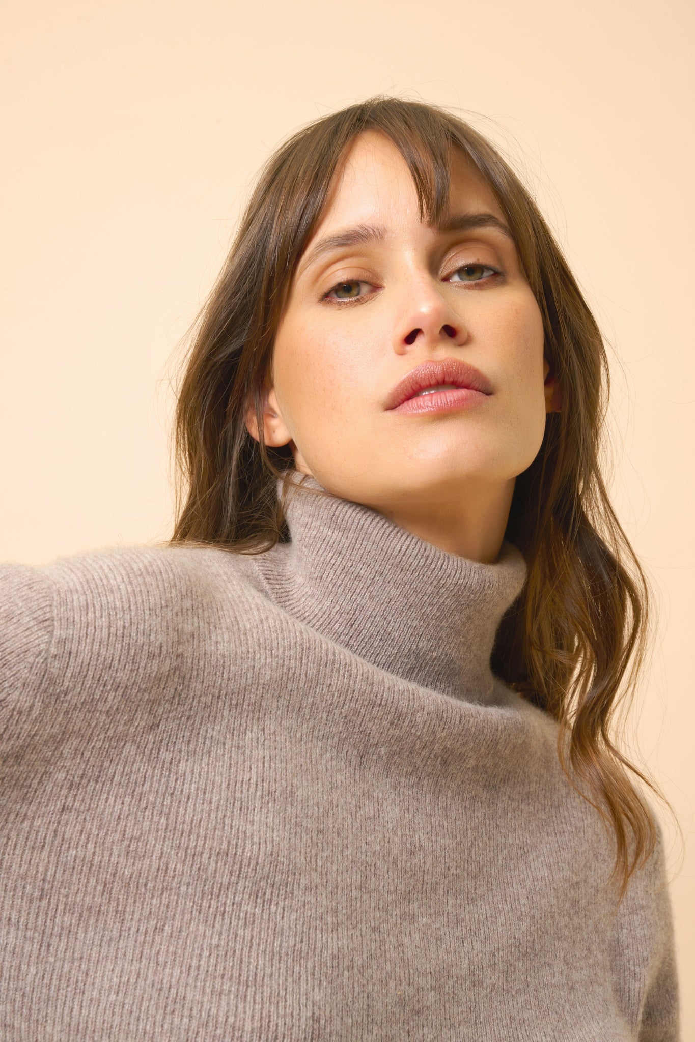 LANAIS turtleneck sweater mottled caribou