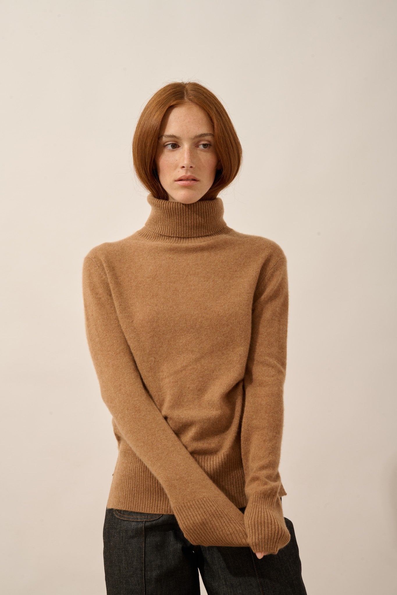 lexie pull col roulé noisette