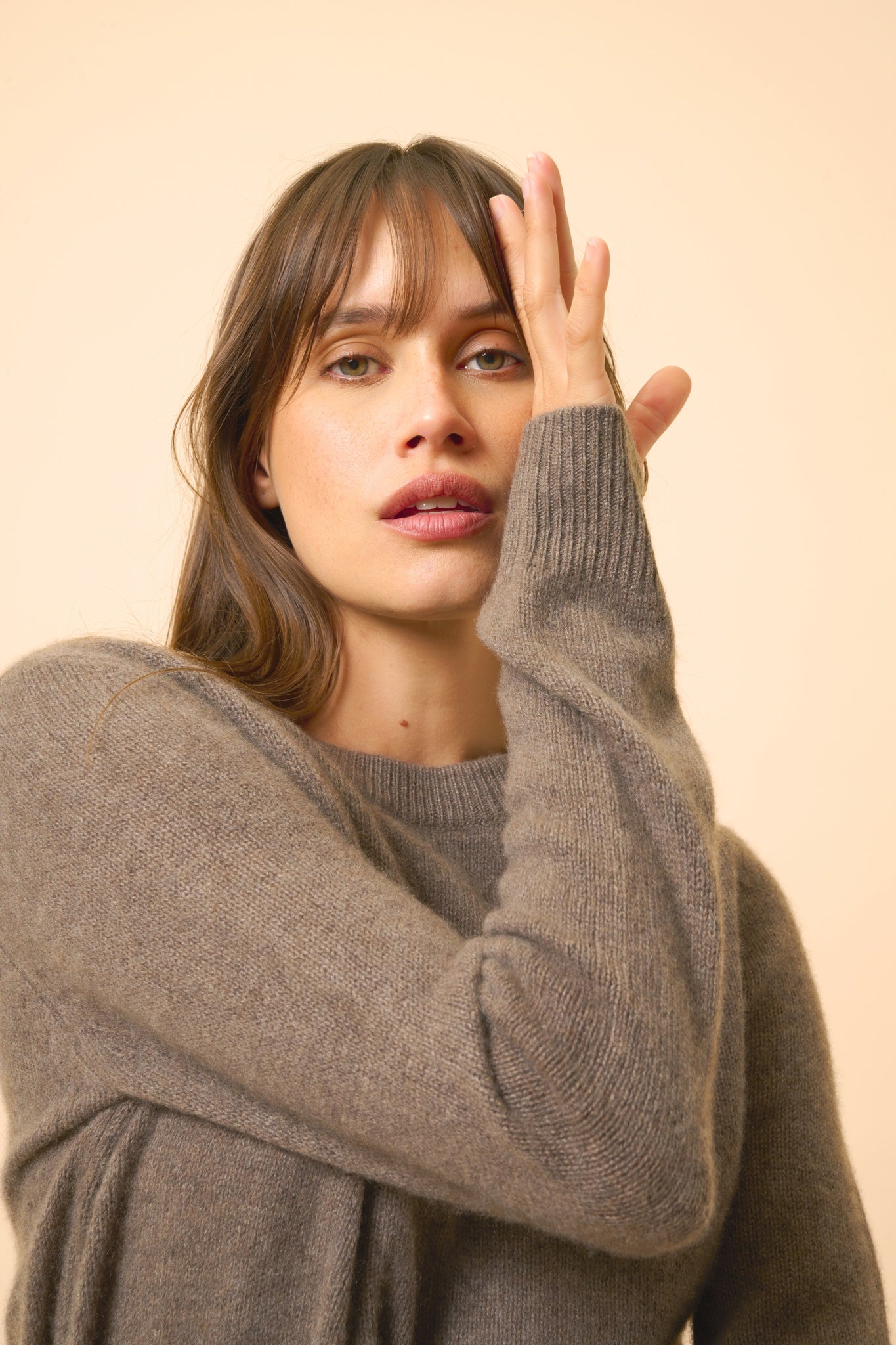 LEXINI pull col rond taupe chiné