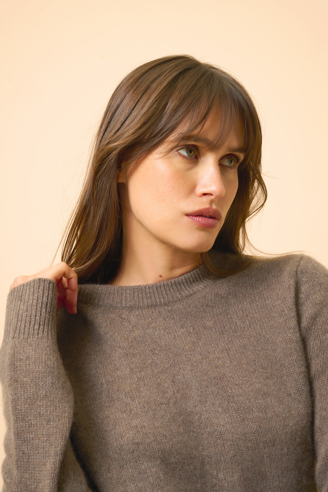 LEXINI pull col rond taupe chiné