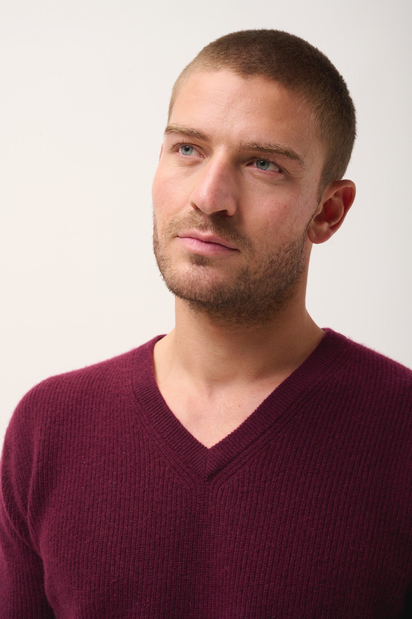 mevron pull col v mûre 100% cachemire