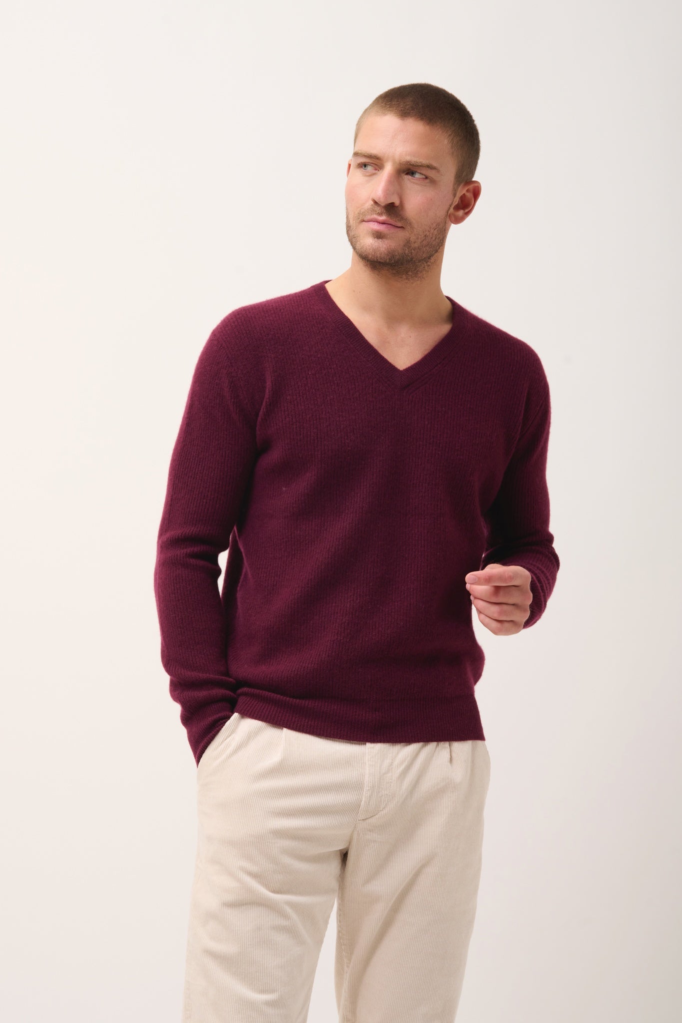 MEVRON pull col v mûre