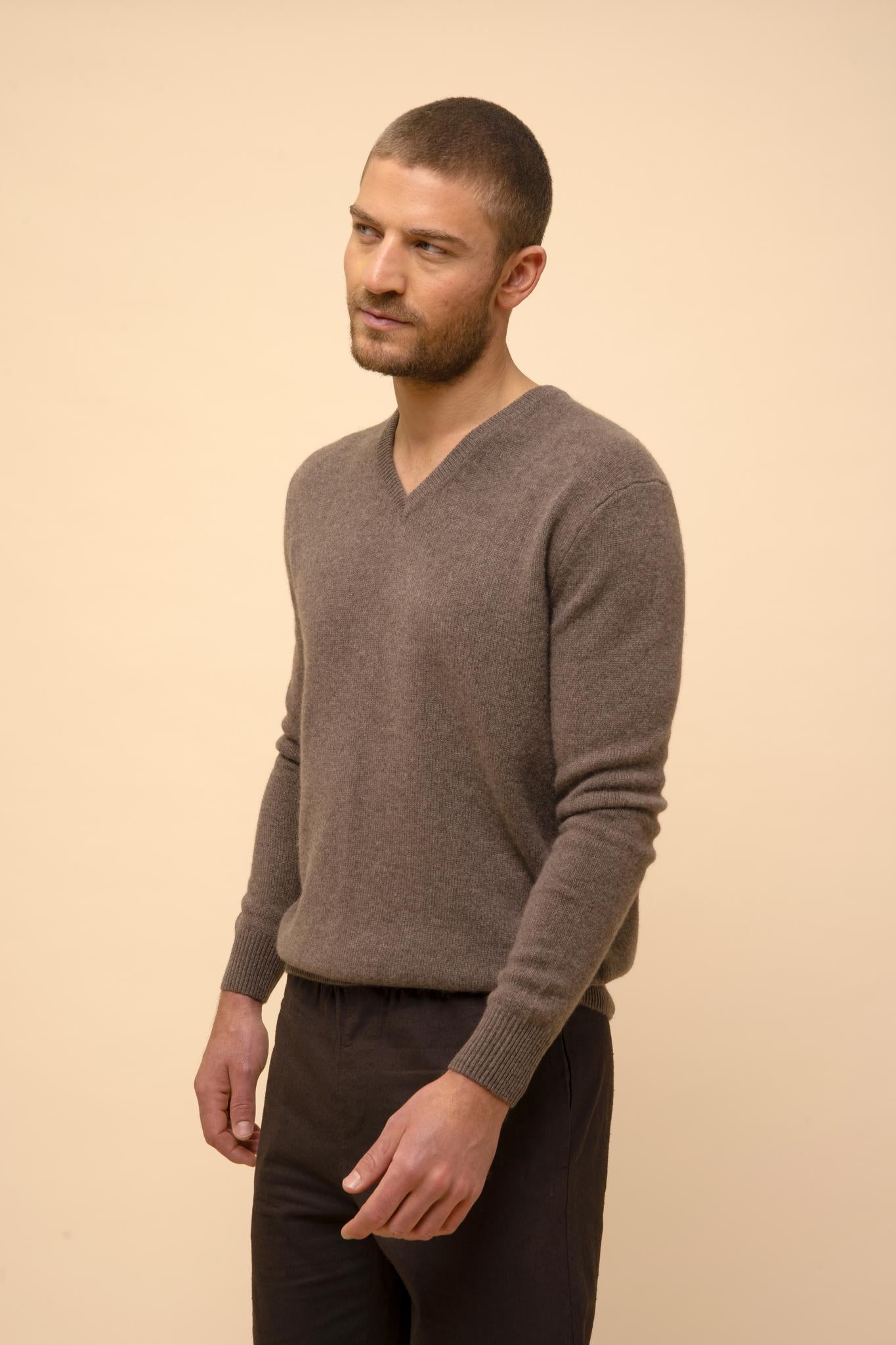 NATHAN taupe mottled v-neck sweater