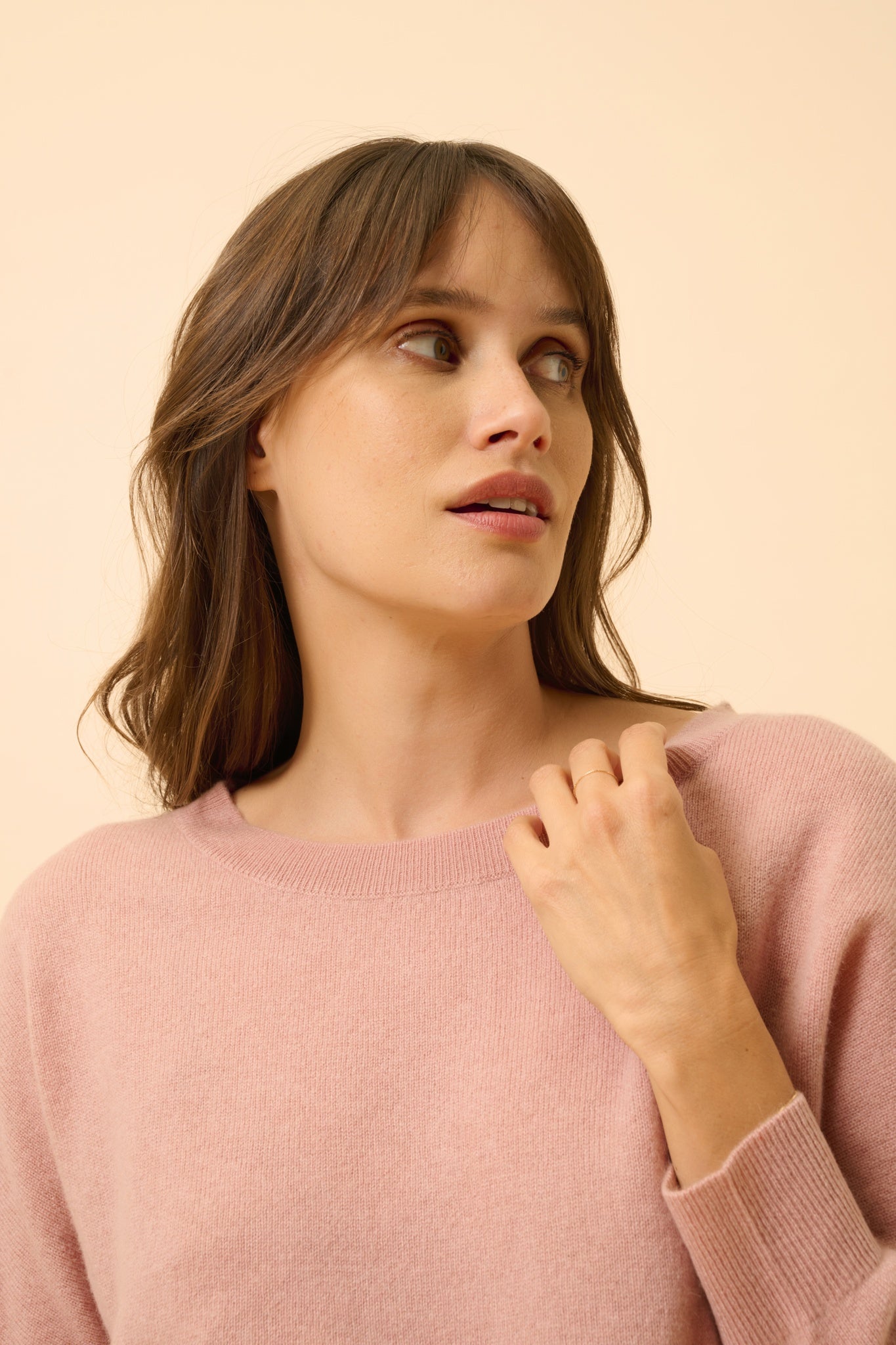 REBECCA pull col rond bois de rose