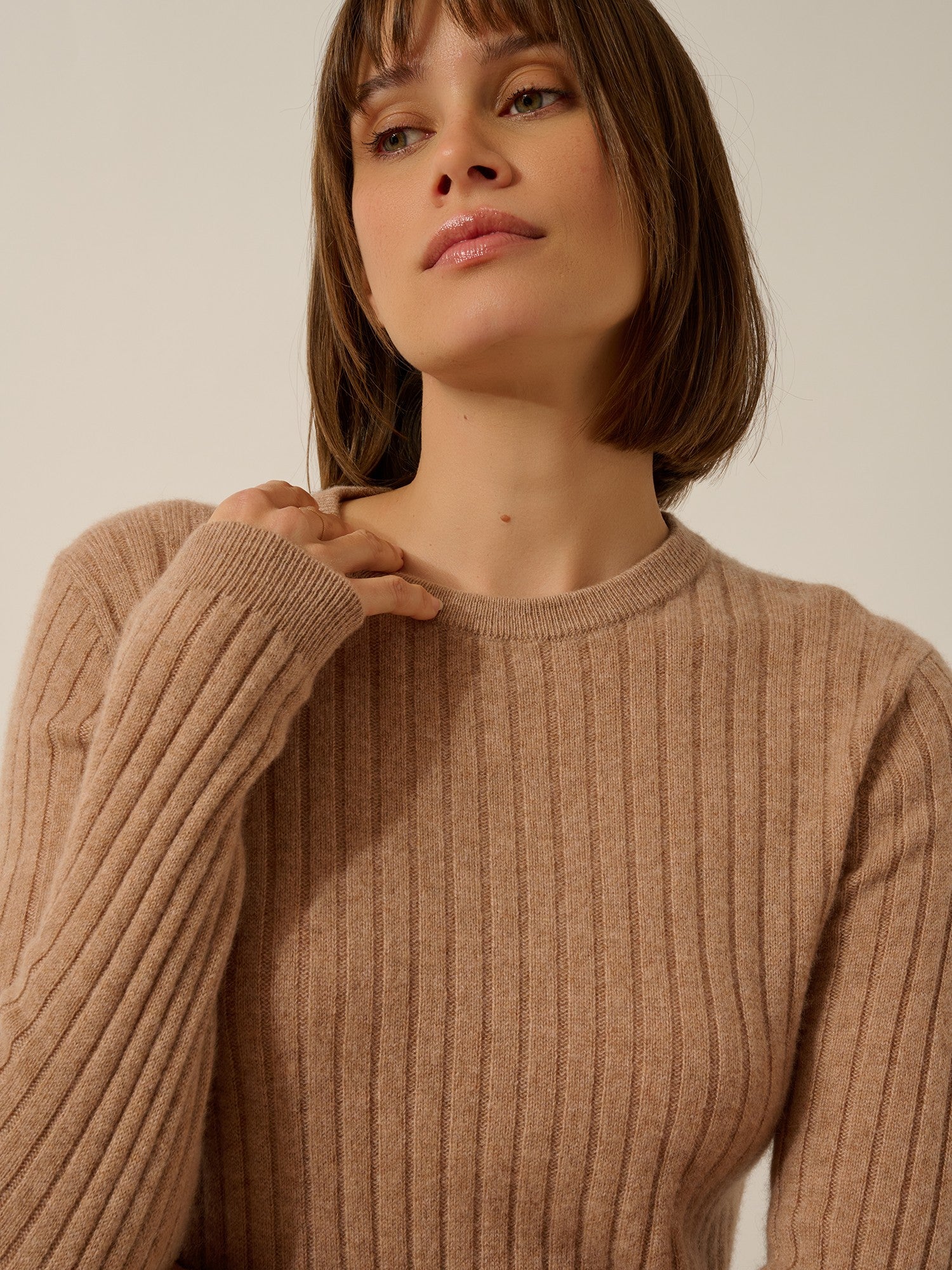 avana pull col rond camel chiné