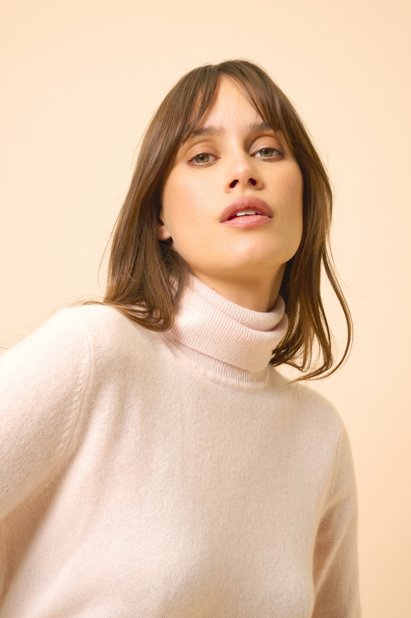 AVA pull col roulé poudre