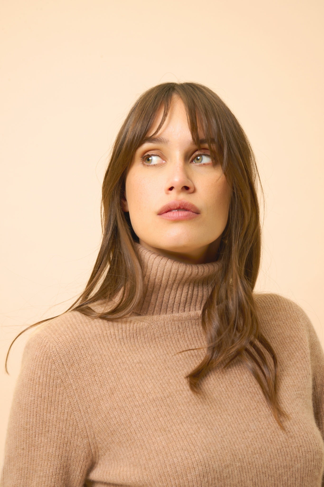 BILLY pull col roulé camel chiné