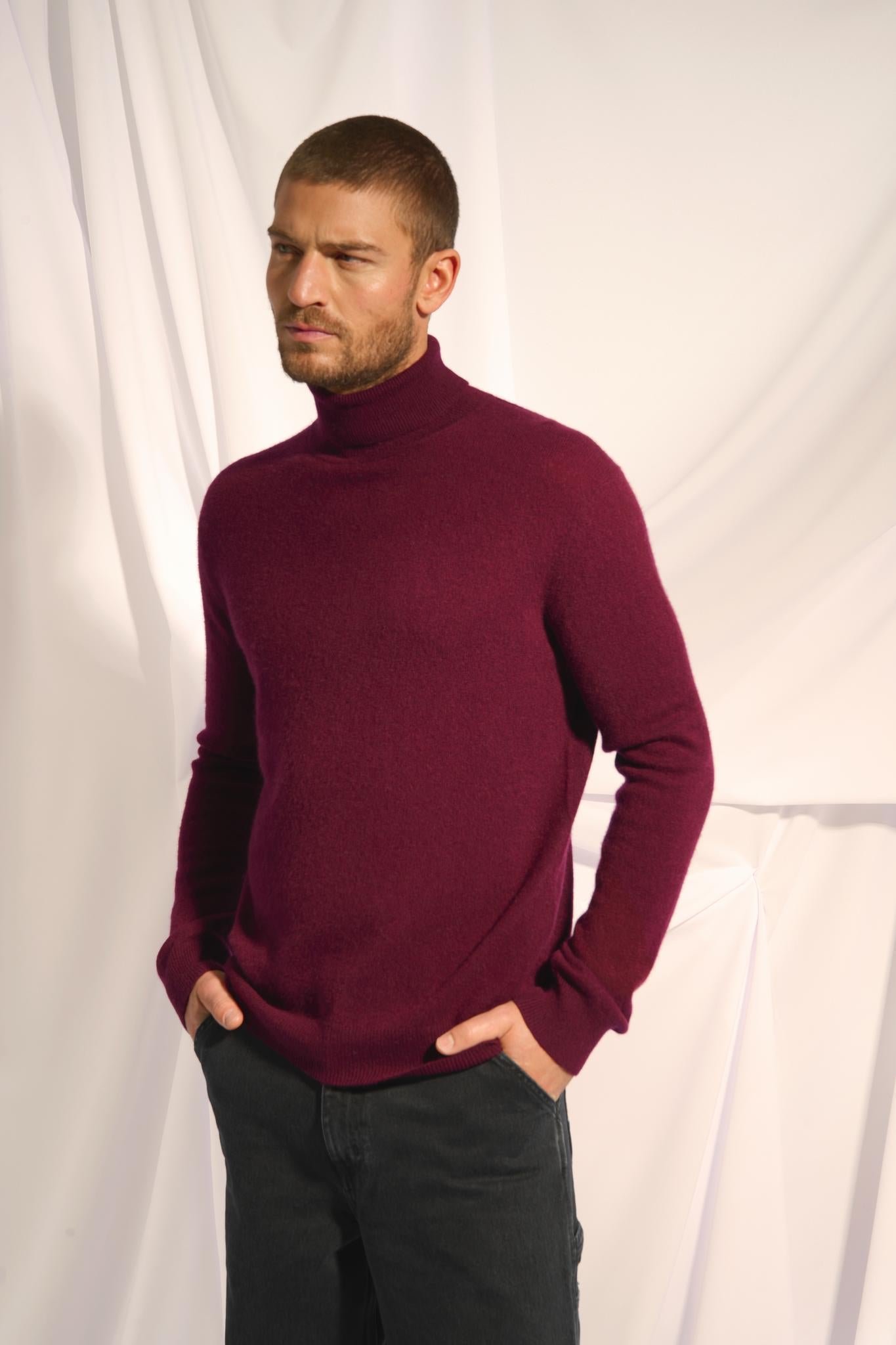 CONNOR pull col roulé mûre
