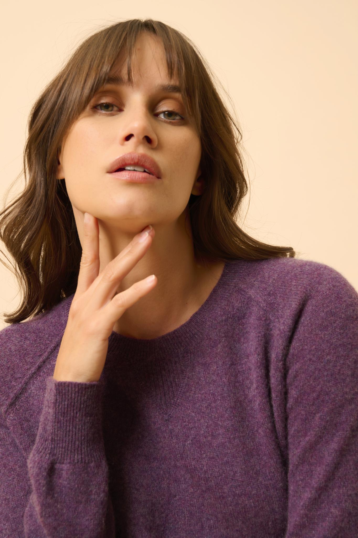 HELEN pull col rond violet chiné