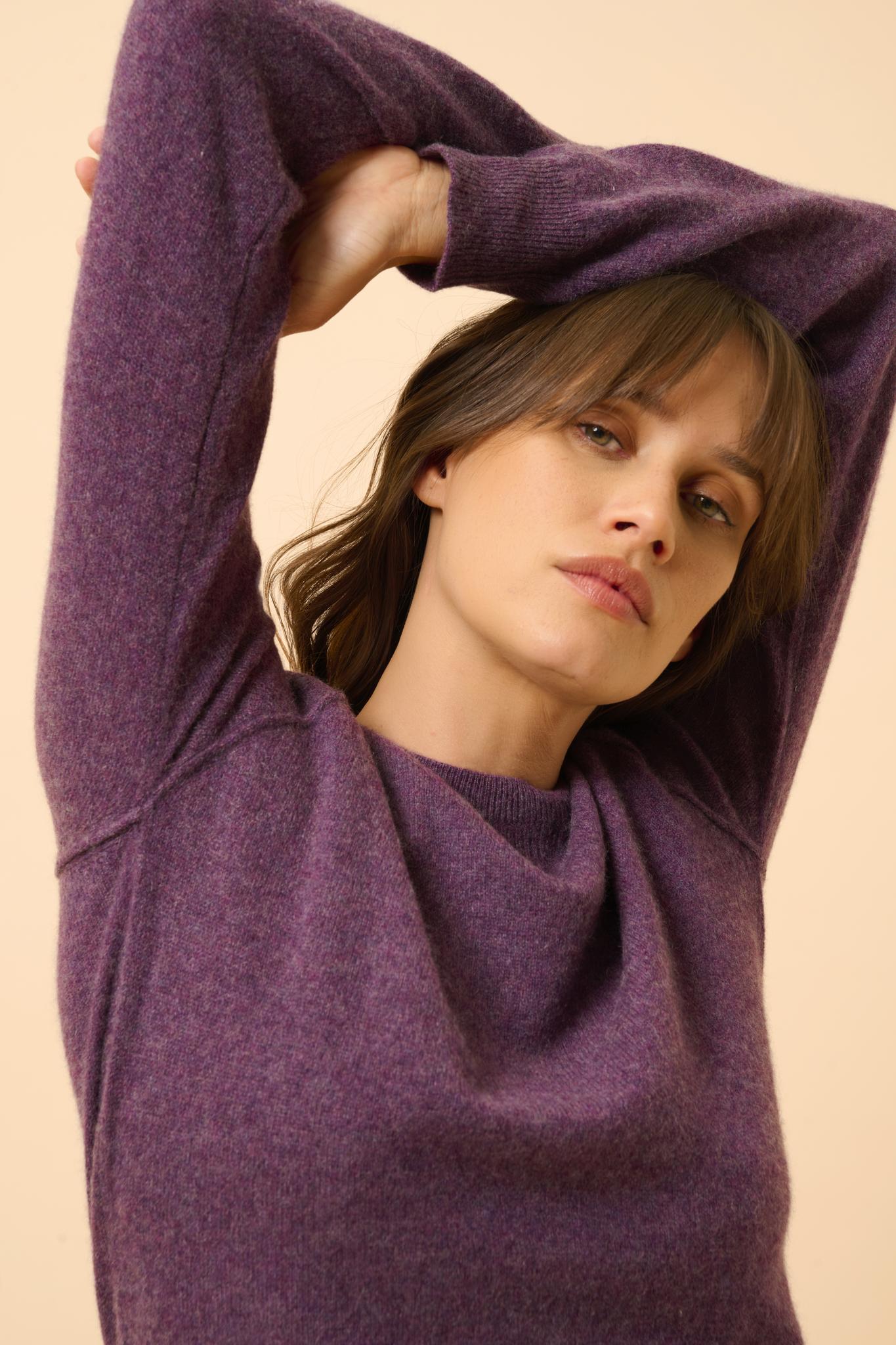 HELEN pull col rond violet chiné
