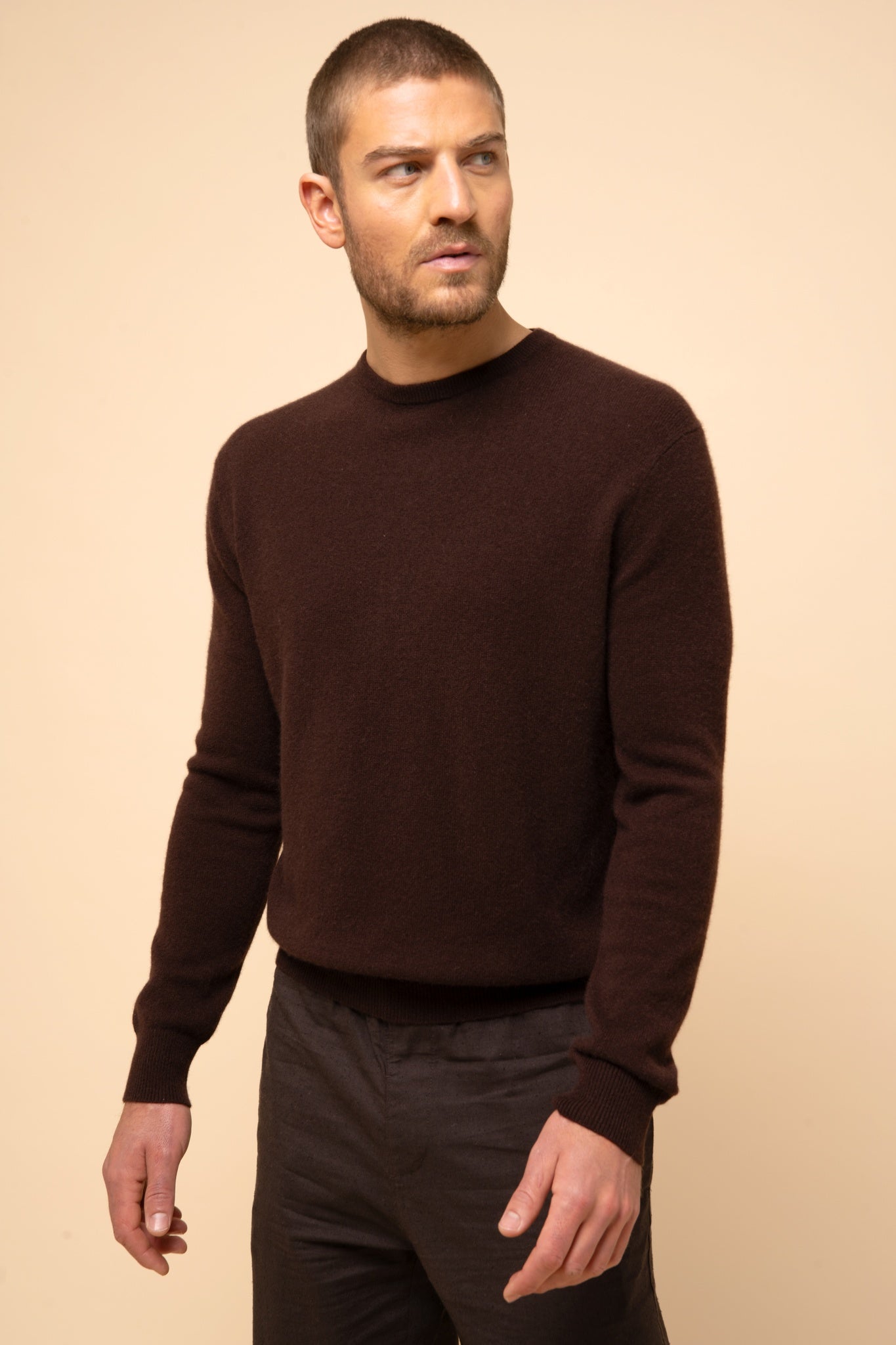 HOWARD round-neck sweater choco