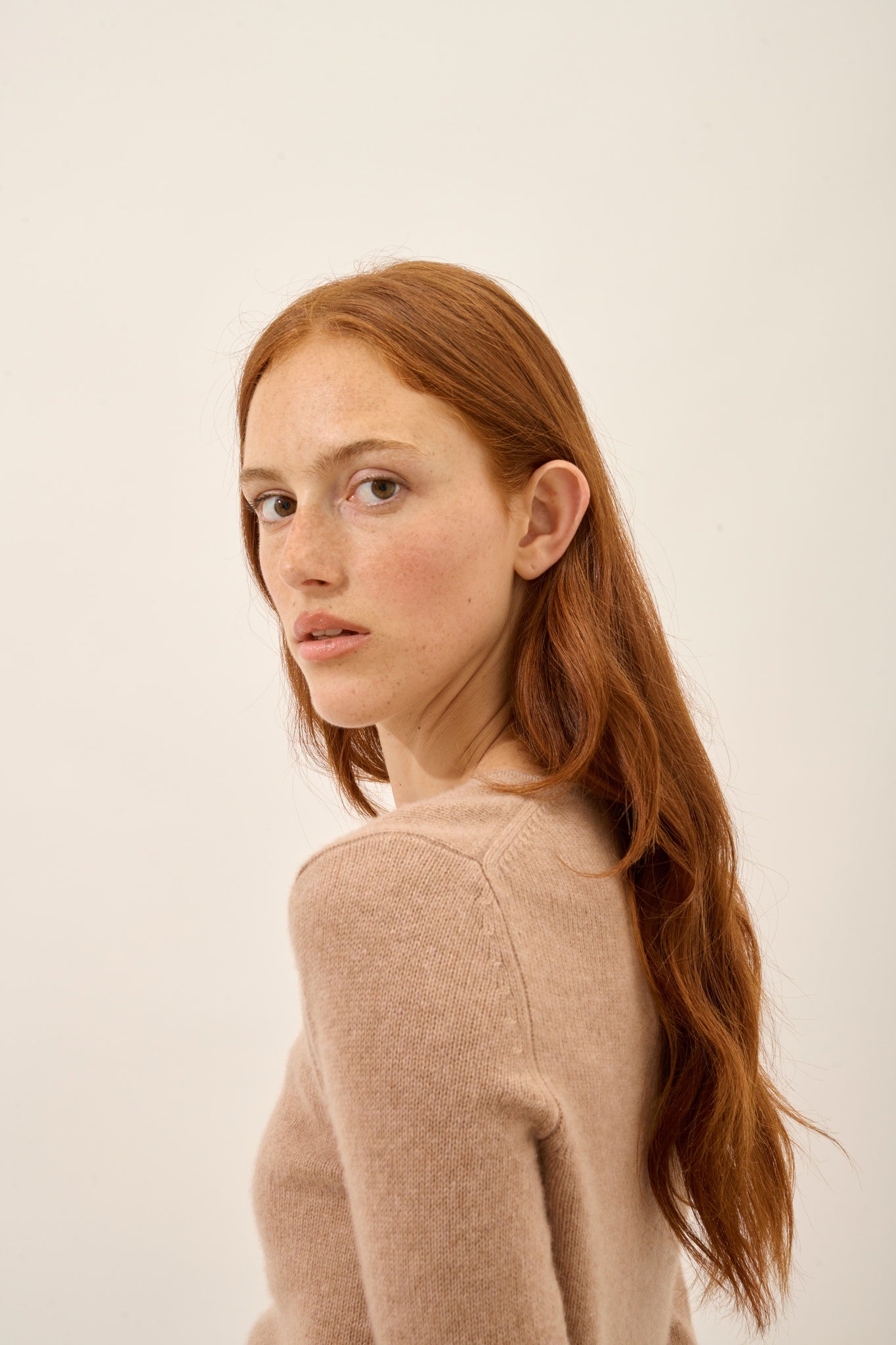 JOYCE pull col rond camel chiné