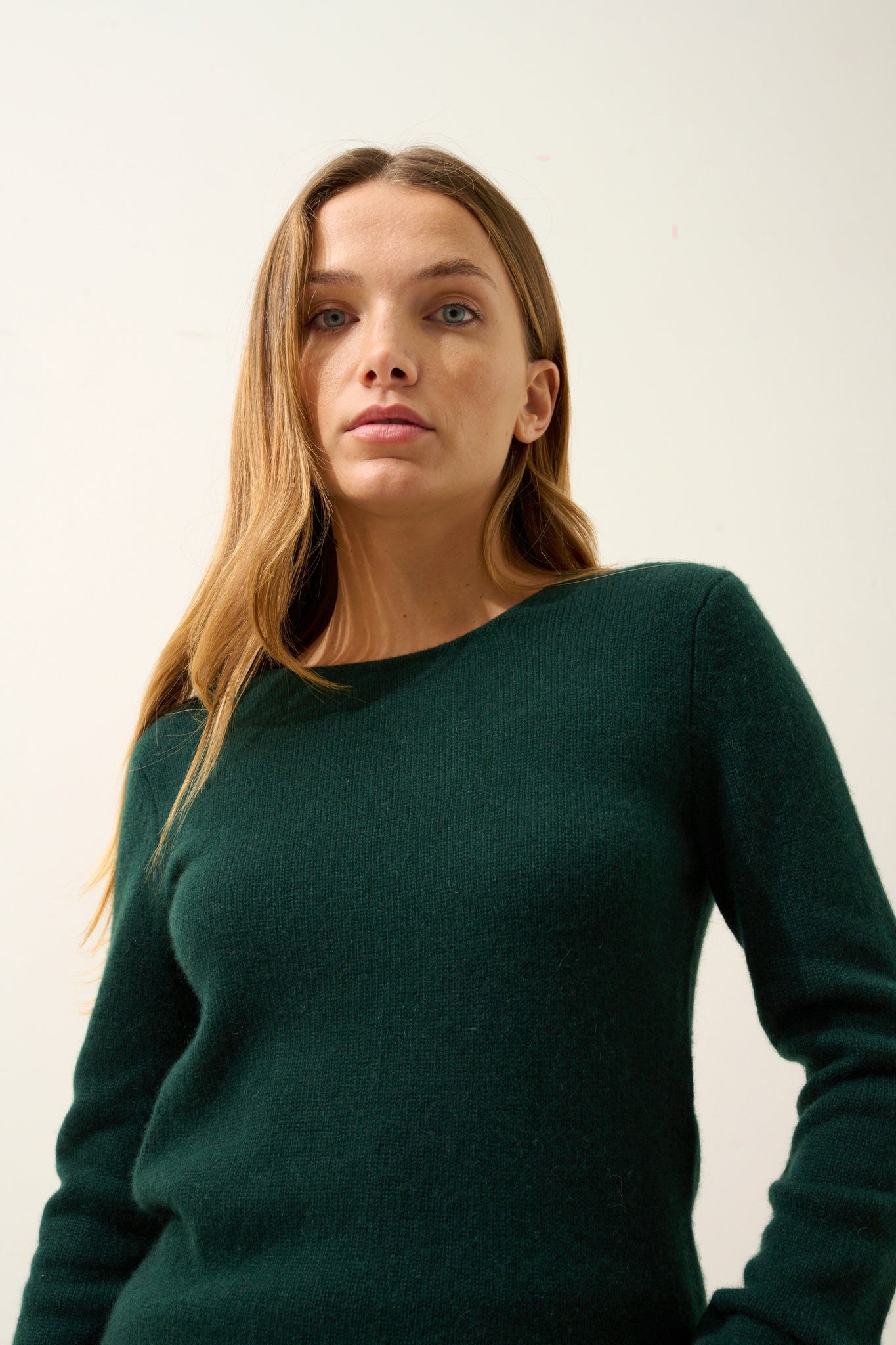 JOYCE pull col rond cyprès