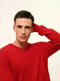 WALT pullover v-ausschnitt rot