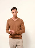 WALT pullover v-ausschnitt noisette