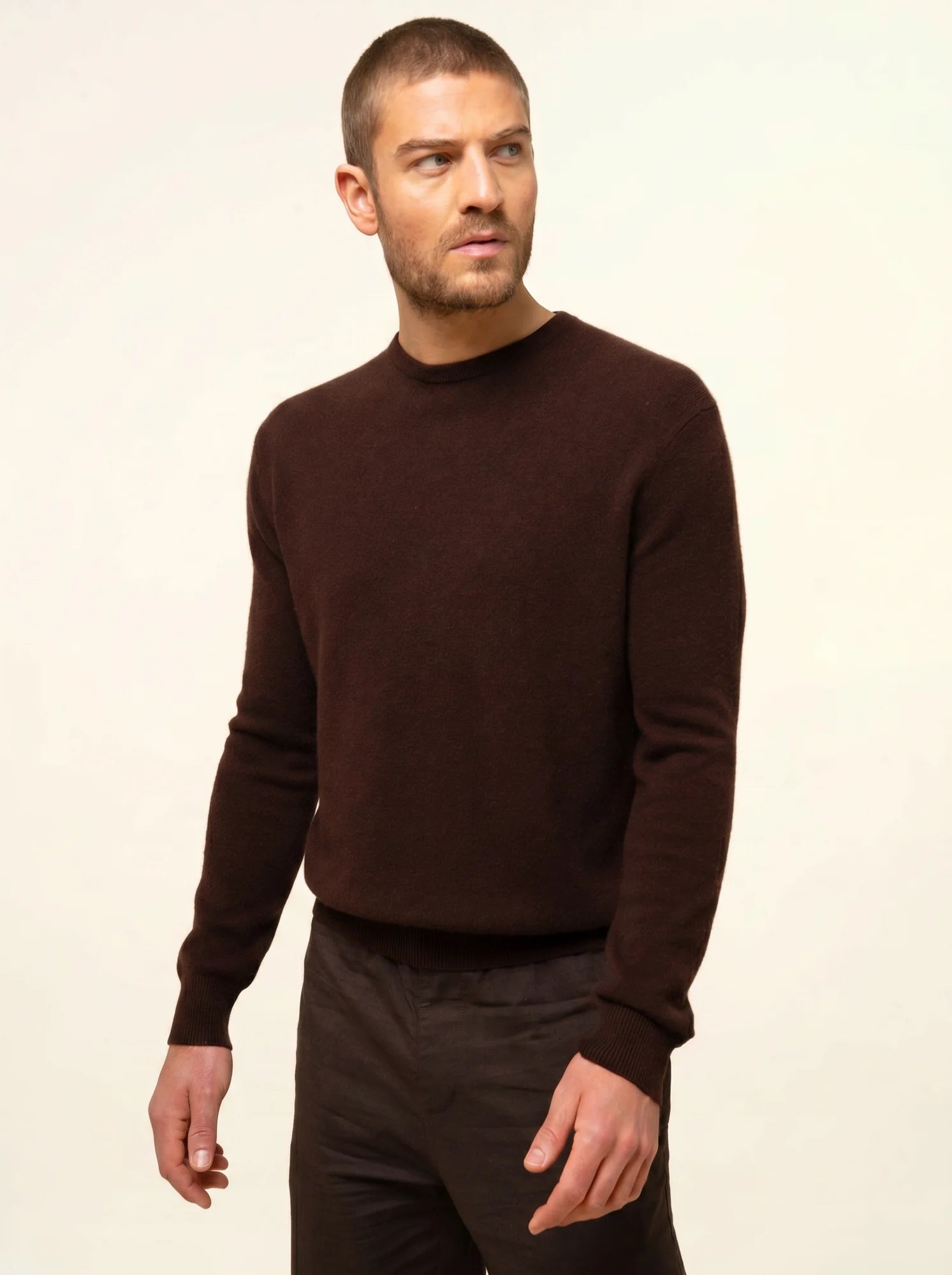 HOWARD pull col rond choco