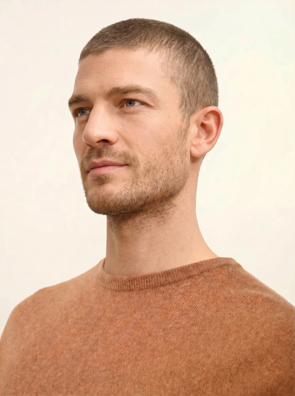 HOWARD pull col rond noisette