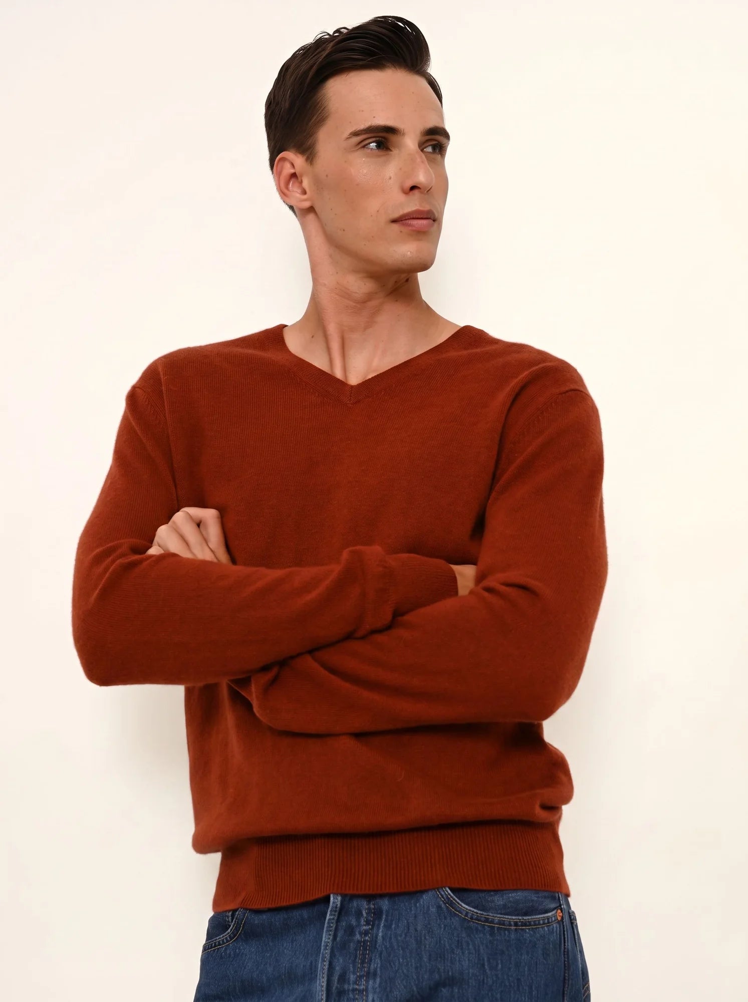 WALT pullover v-ausschnitt écureuil