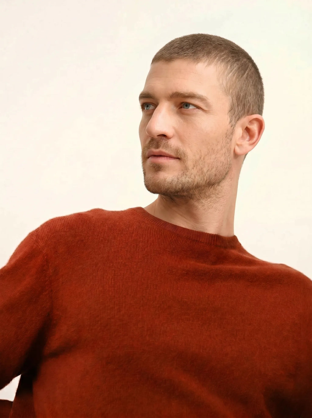 HOWARD pullover rundhalsausschnitt écureuil
