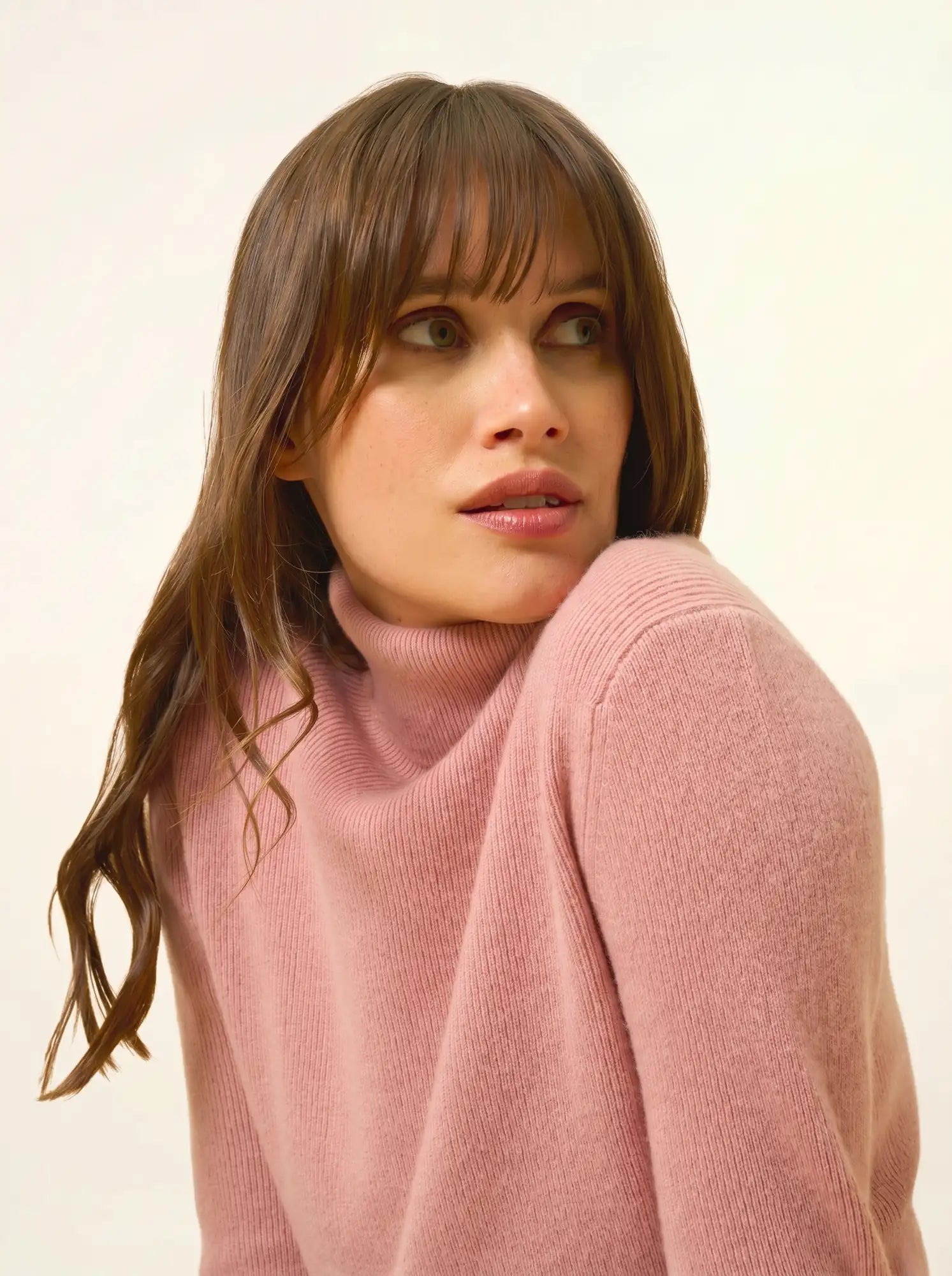 LANAIS pullover rollkragen bois de rosa