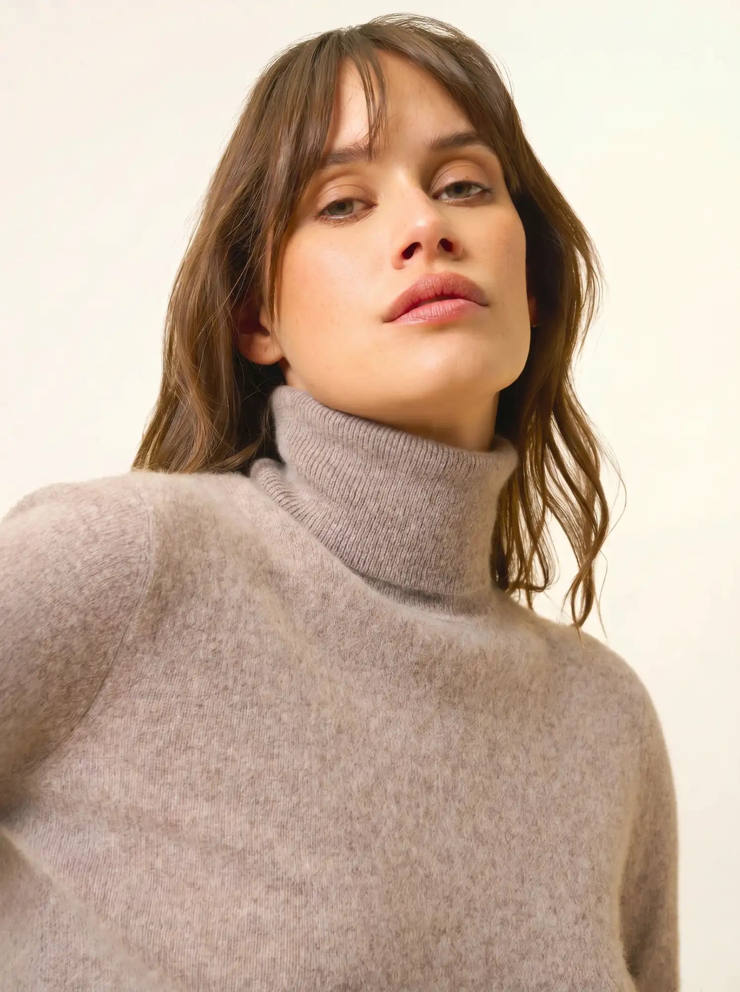 AVA pull col roulé caribou chiné