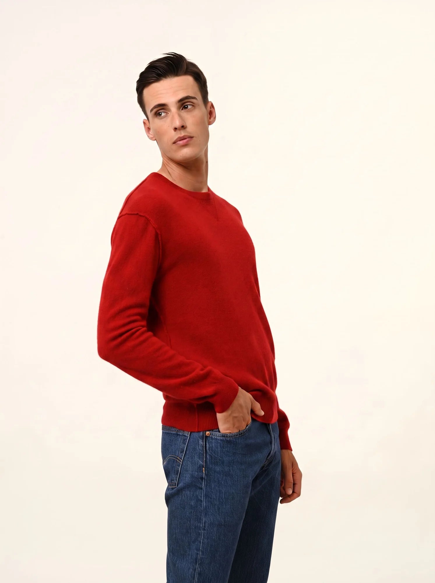 NOE pullover rundhalsausschnitt rubis