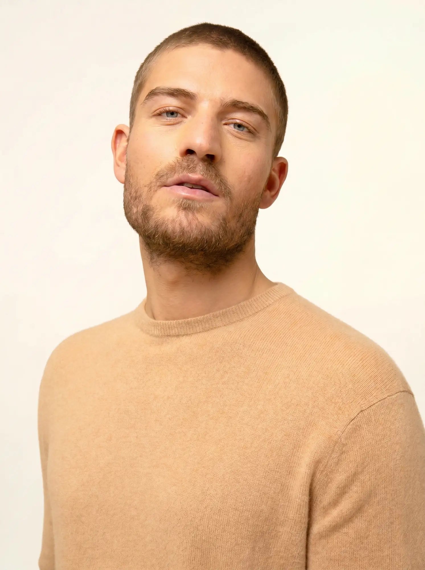 HOWARD pull col rond sahara