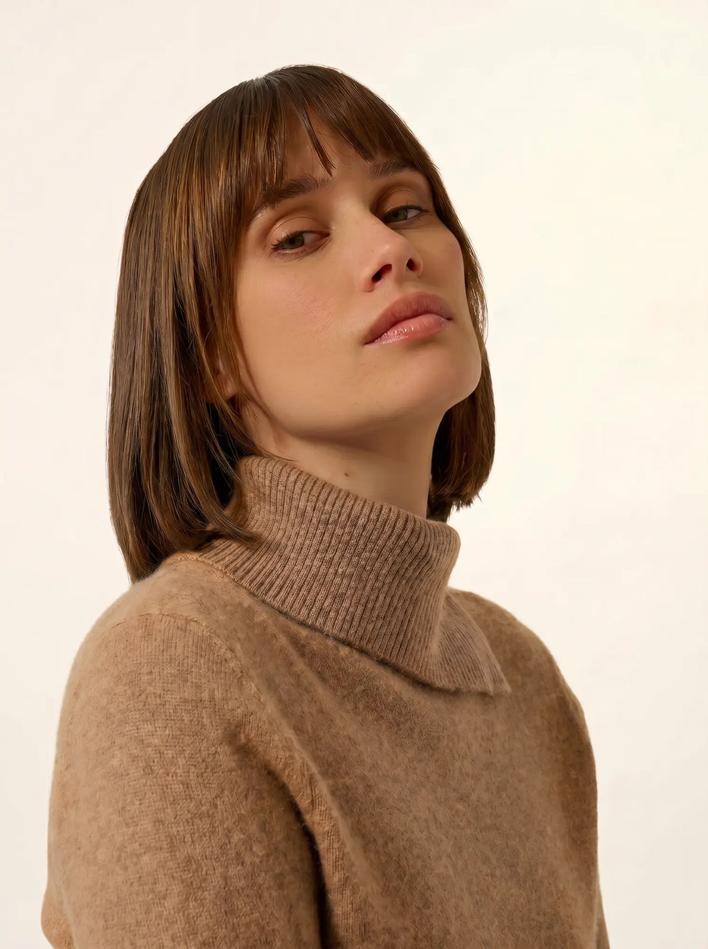 DUNDEE Sweater Turtleneck Buttoned Heather Camel