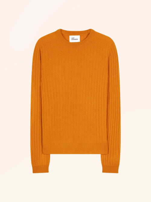 AVANA pull col rond ocre