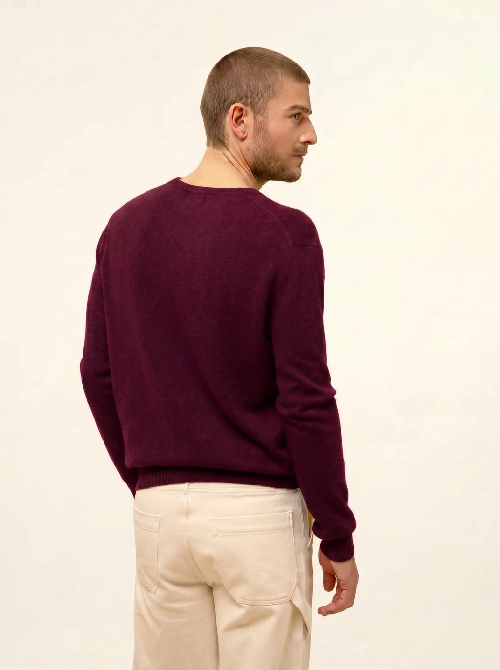 WALT pullover v-ausschnitt mûre