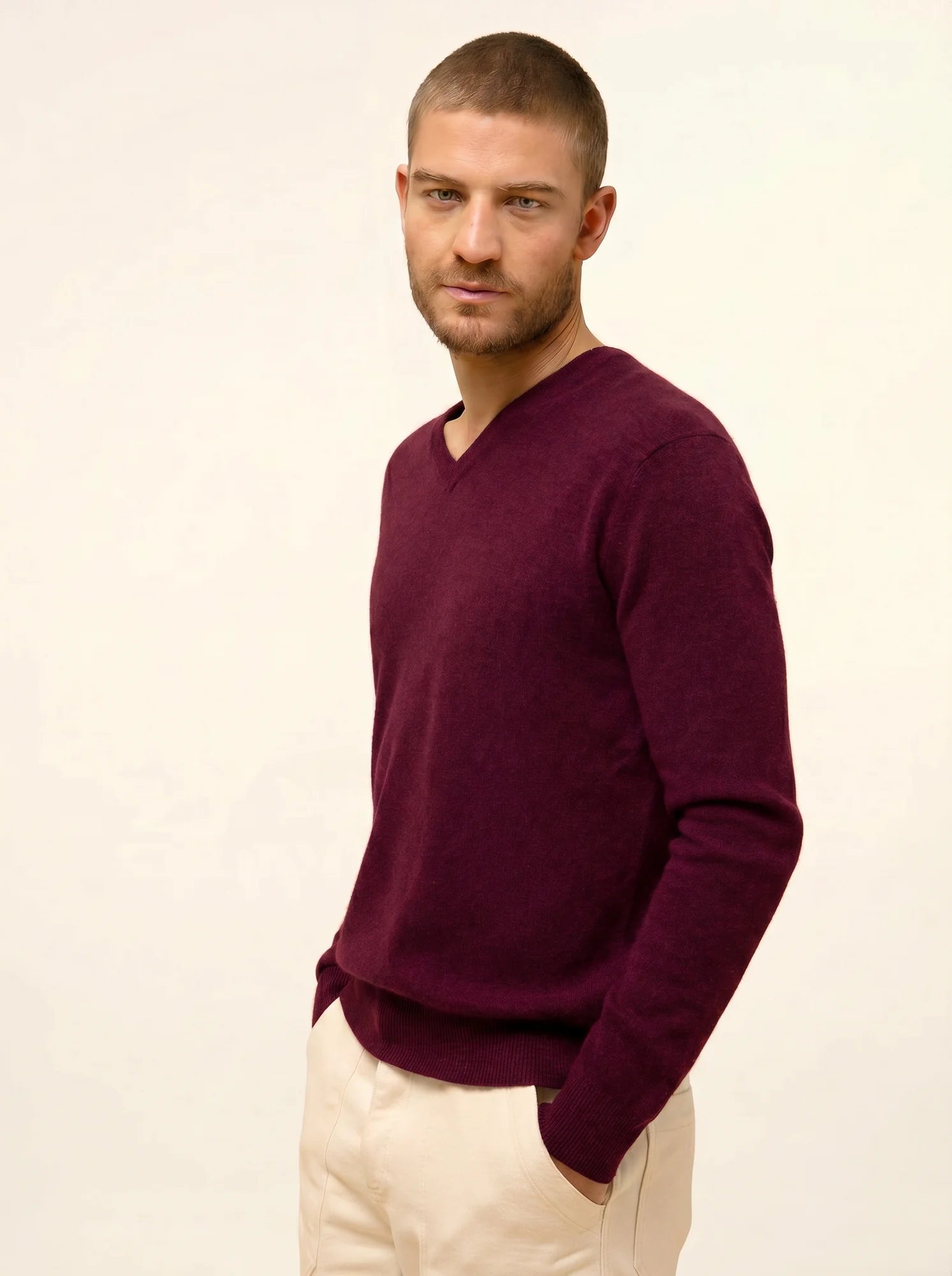WALT pullover v-ausschnitt mûre