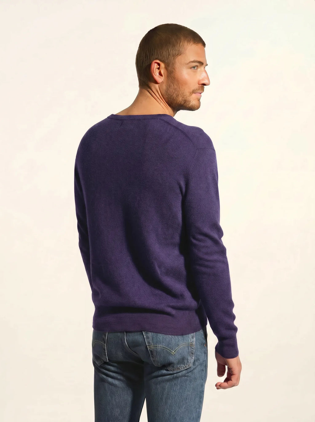 WALT pull col v violet gris chiné