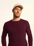 DARRI pull col rond 4 fils mûre