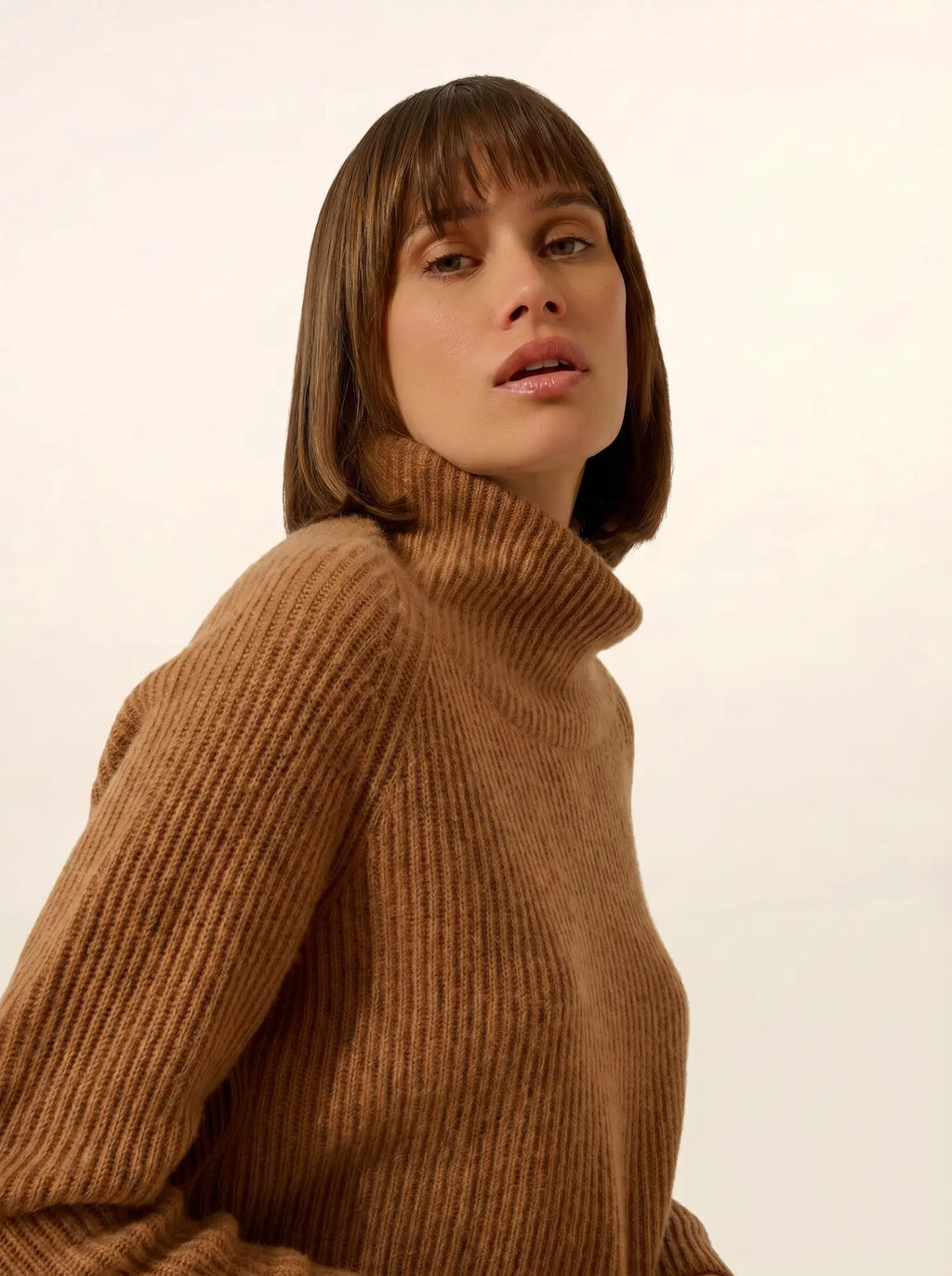 TAYLOR pullover stehkragen 4-fädig noisette