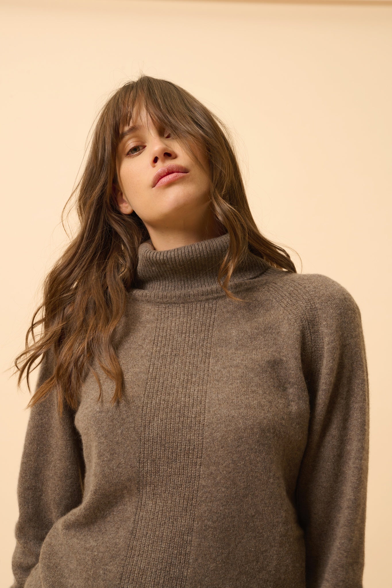 LILLY pull col roulé taupe chiné