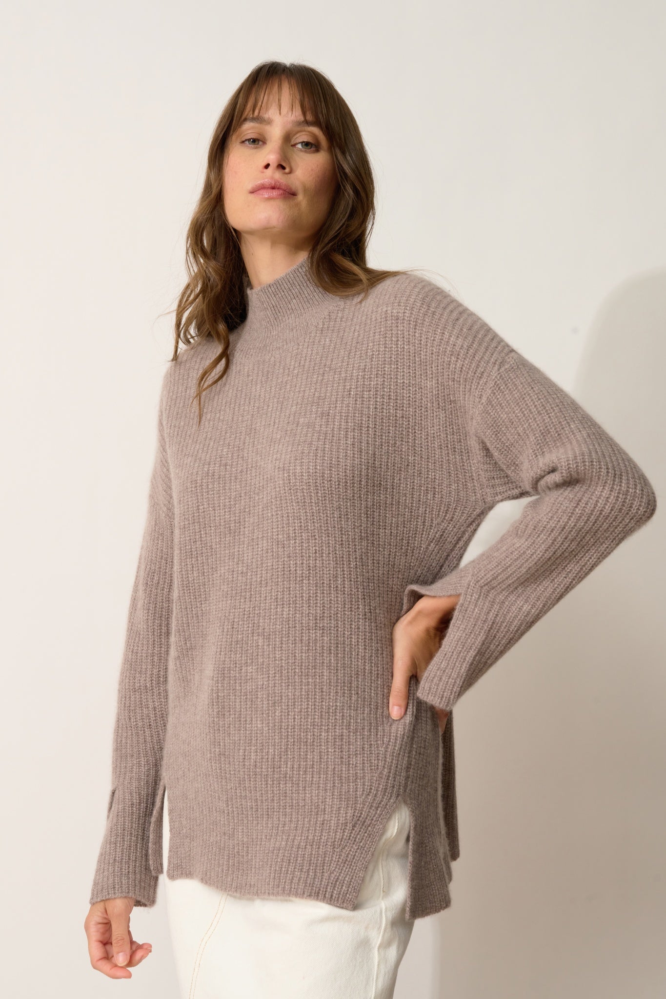 LOUISE pull col roulé caribou chiné