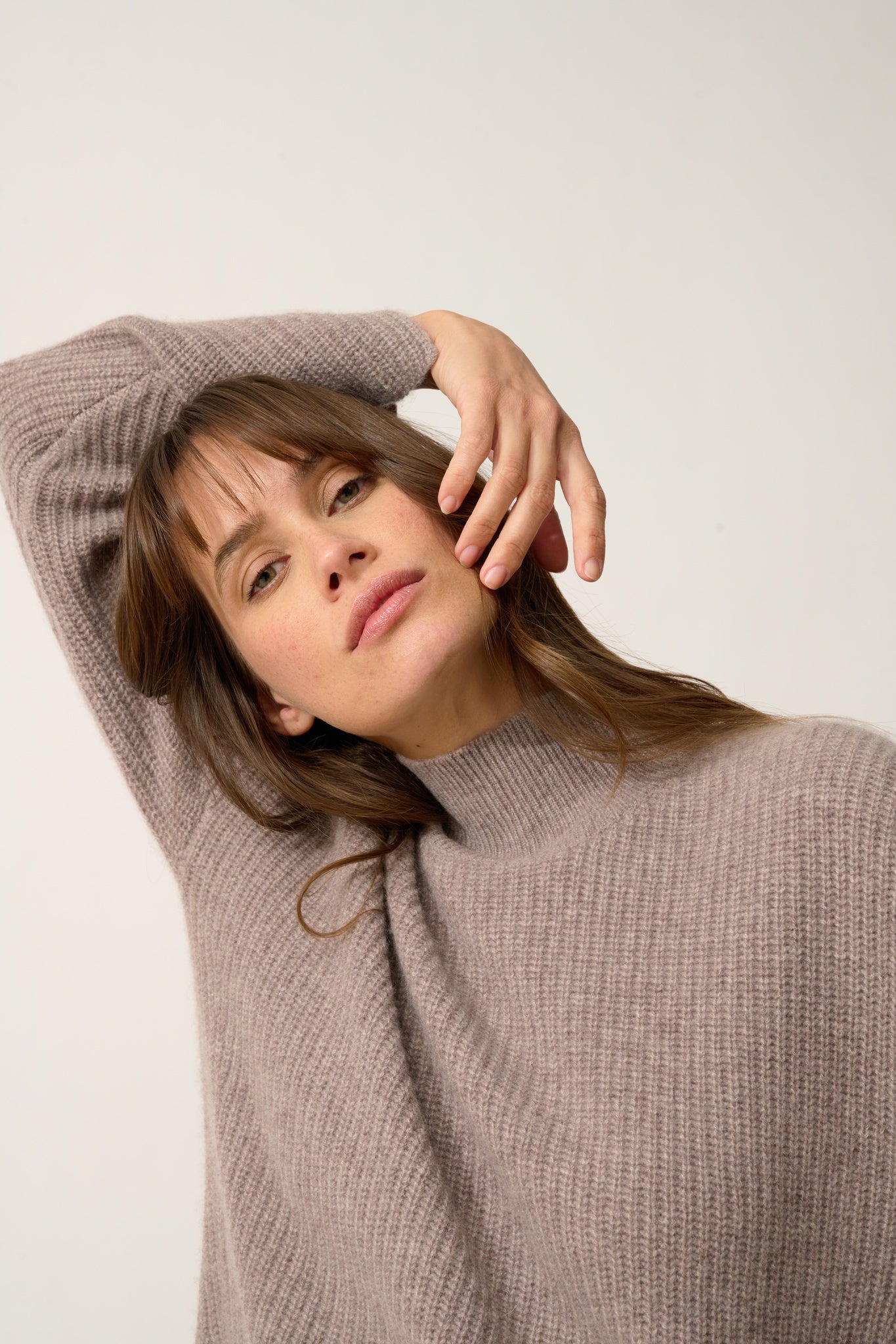 LOUISE pull col roulé caribou chiné