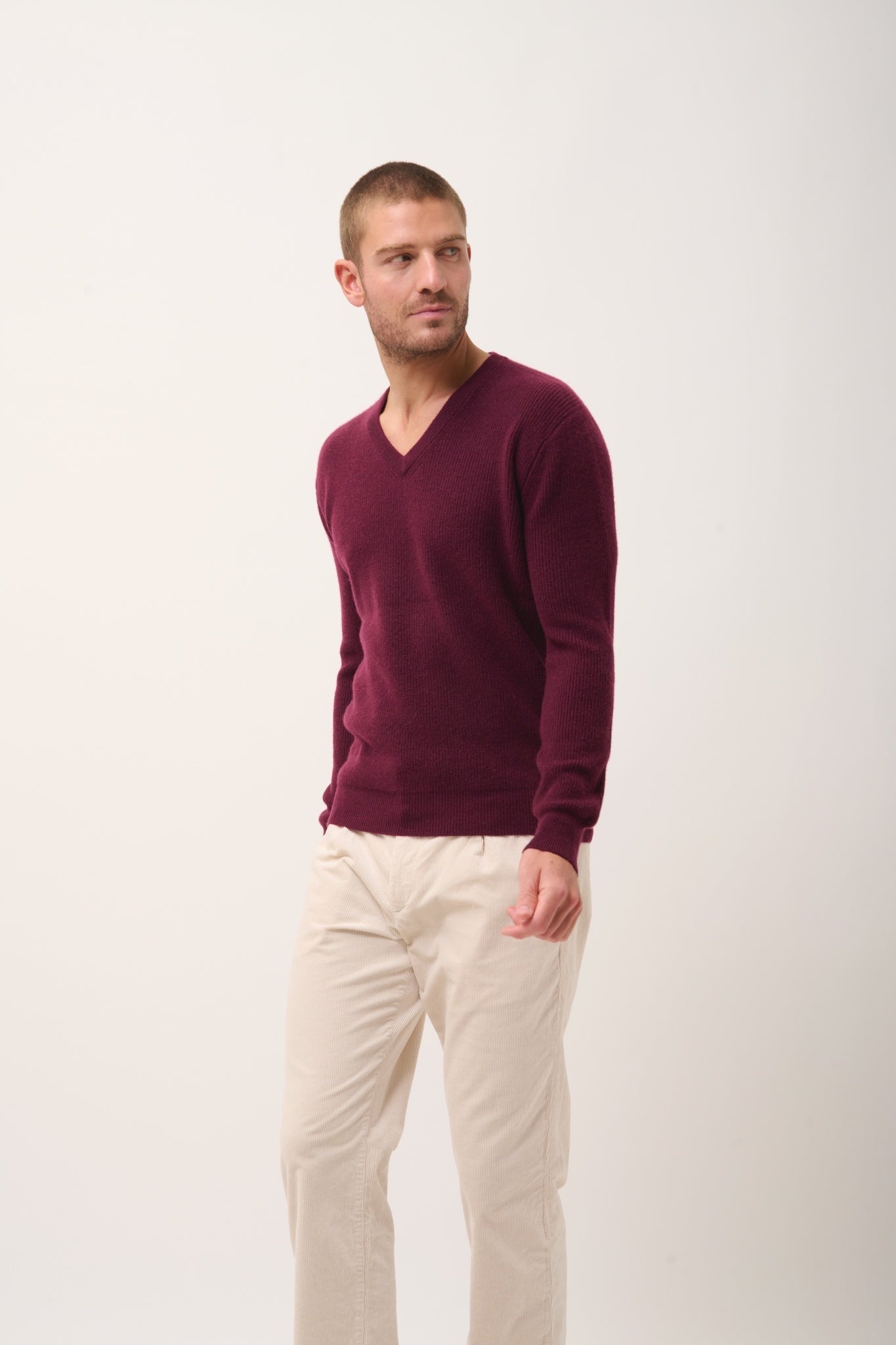 MEVRON pull col v mûre